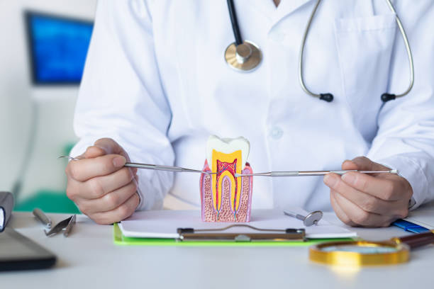 Best Knocked-Out Tooth (Avulsed Tooth) Treatment in Crittenden, KY